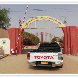 صورة1